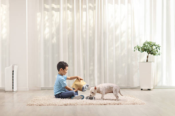 istock Boy sitting on a carpet and feeding a dog 2206337693