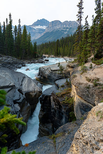 istock Peaceful View at Mistaya Canyon 2206342039