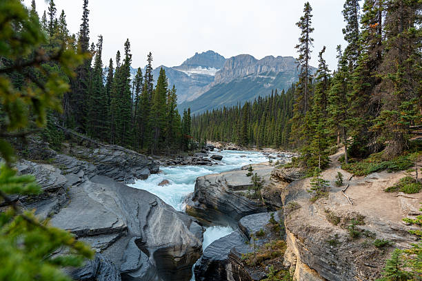 istock Peaceful View at Mistaya Canyon 2206342077