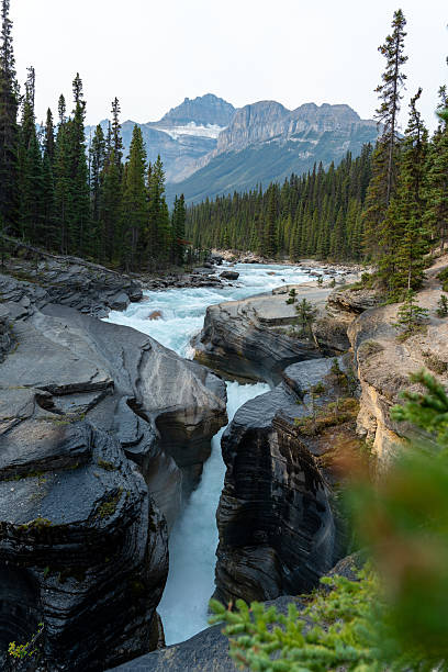 istock Peaceful View at Mistaya Canyon 2206342208