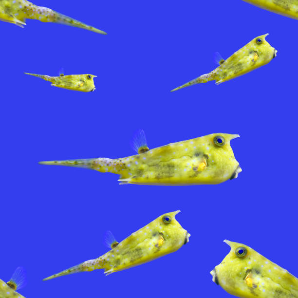 Yellow Cowfish isolated on blue background seamless pattern