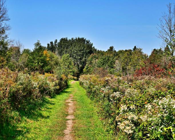 istock Biking path in the country 2206344025