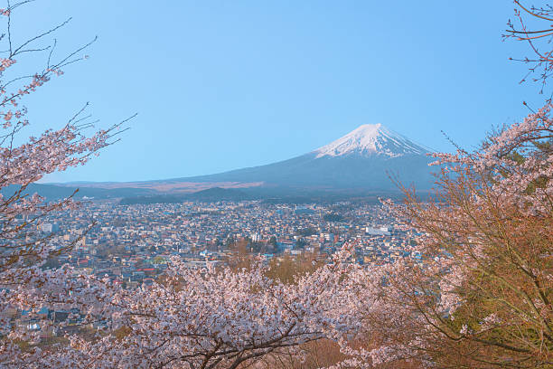 istock Mount fuji behind cherry blossoms and a town. 2206347579