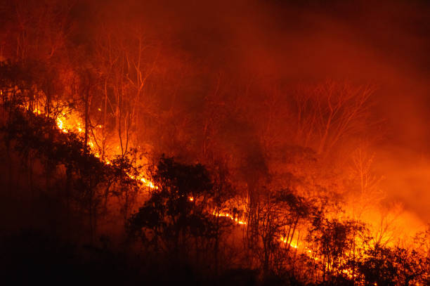 istock Wildfires destroy and cause air pollution. 2206348498
