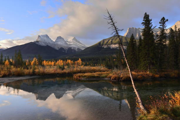 istock Leaning dry pine frames peaks Three Sisters, Grassi Knob, Ship's Prow, reflected at dawn on Policeman Creek of Bow River. Canmore-Alberta-Canada-055 2206350695