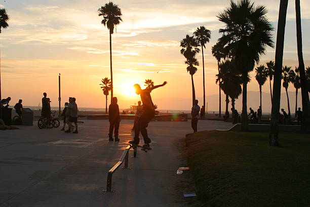Atmospheric blur sunset action photograph of skateboarder and palm trees at Venice Beach, California
