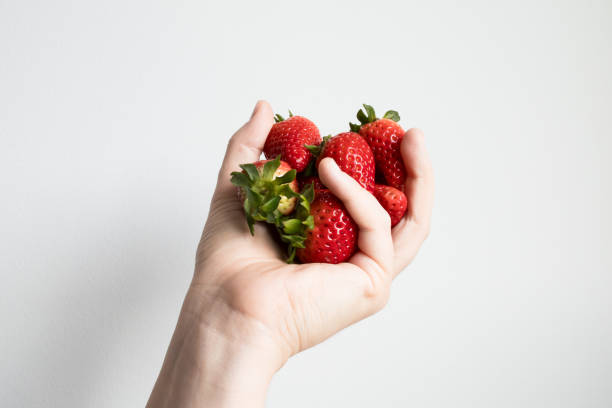 istock Hand holding fresh red strawberries against white background 2206354105