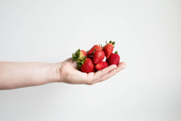 istock Hand holding fresh strawberries against white background 2206354479