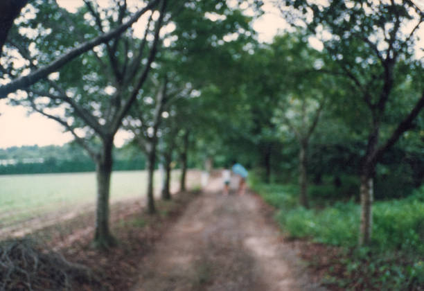 Blurry film photo summer vacation