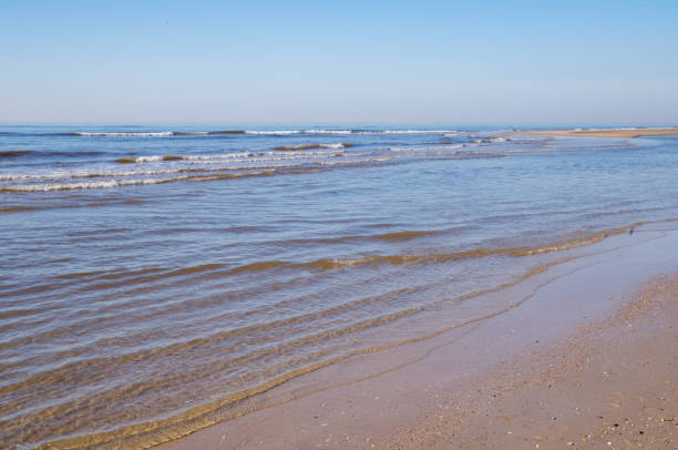 Calm sea waves gently lapping the sandy shore on a bright sunny day, creating a serene and peaceful atmosphere