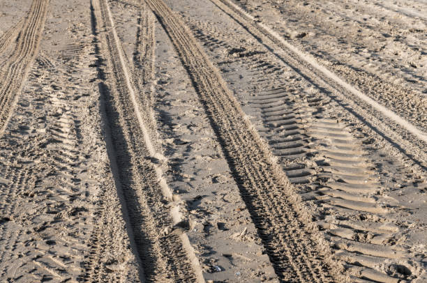 Various tire tracks are visible on a sandy beach, creating a textured pattern under the sunlight