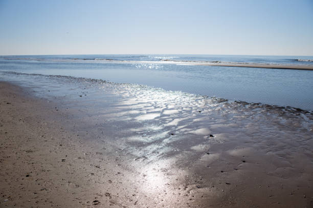 Sunlight reflects on the wet sand of a beach on a sunny day, creating a beautiful and serene scene