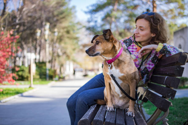 istock Owner and dog enjoying the sun 2206361715