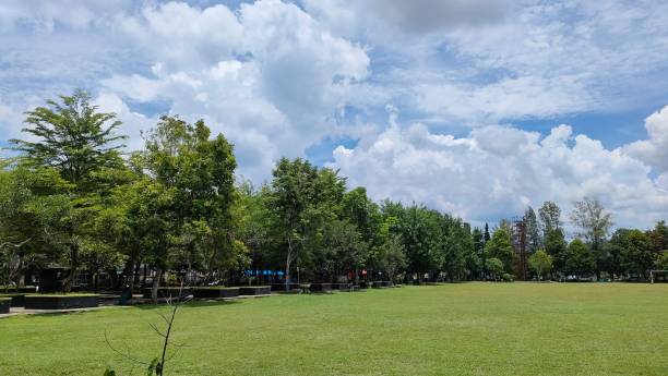 istock green open space - city park 2206361754