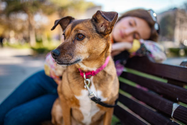 Woman and her rescued dog enjoying a walk outdoors