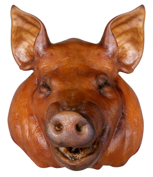 istock Braised pig head isolated on white background with clipping path 2206366377