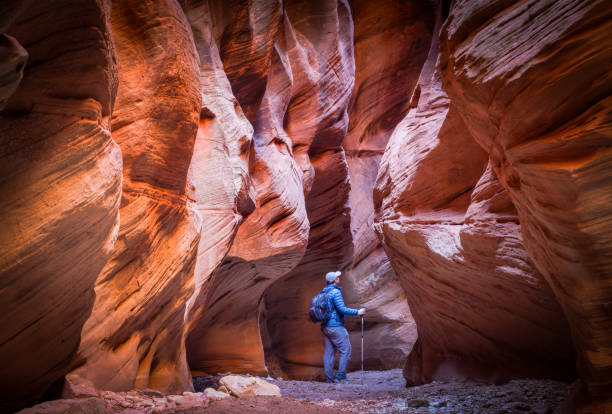 istock Slot canyon hiker 2206368878