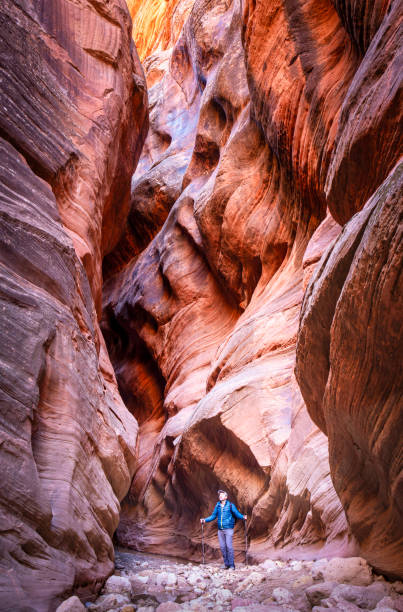 istock Slot canyon hiker 2206368879