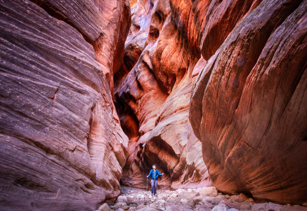 istock Slot canyon hiker 2206368888