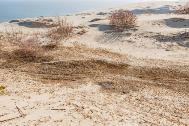 Sandy coast along the Baltic sea.