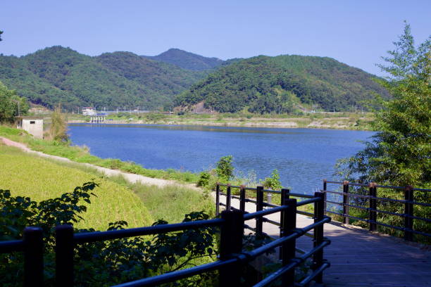 istock Wooden Path Overlooking the Yeongsan River 2206374587