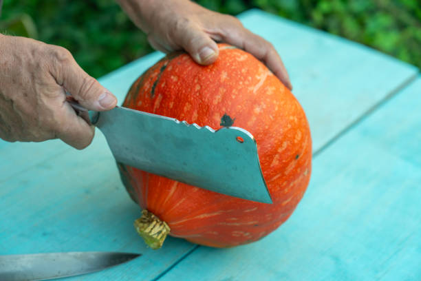 Men, just hands visible, cuts a ripe pumpkin on a wooden board outdoors.