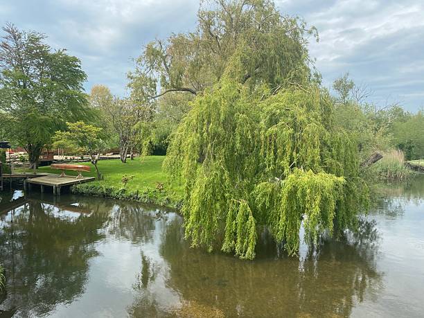 istock English River and Canal photos in Spring Summer 2206375736
