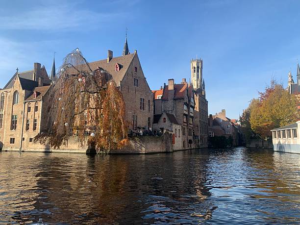 istock Canal view of a beautiful autumn willow tree 2206375891