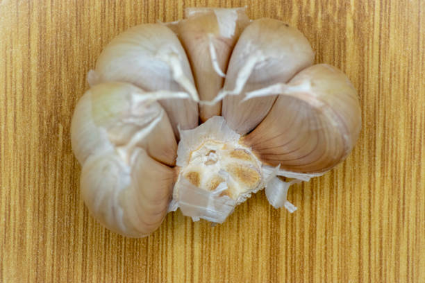Garlic bulb isolated. Garlic bulb on white background. Unpeeled garlic bulb