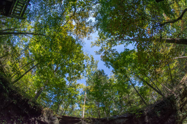 istock Graham Cave SP - Trees Above Dry Waterfall Area - Fisheye Lens 2206383030