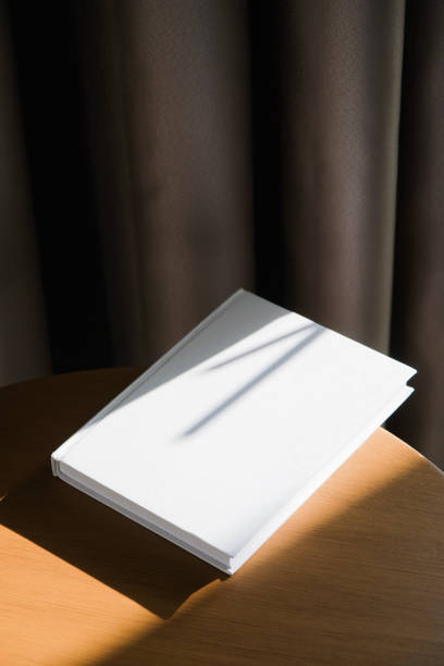 istock blank book mockup on wooden coffee table , shadow overlay 2206388696