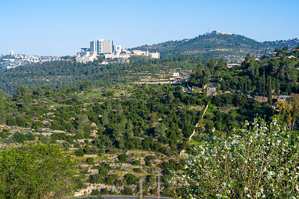 istock Spring nature in the Jerusalem mountains in Israel 2206388828