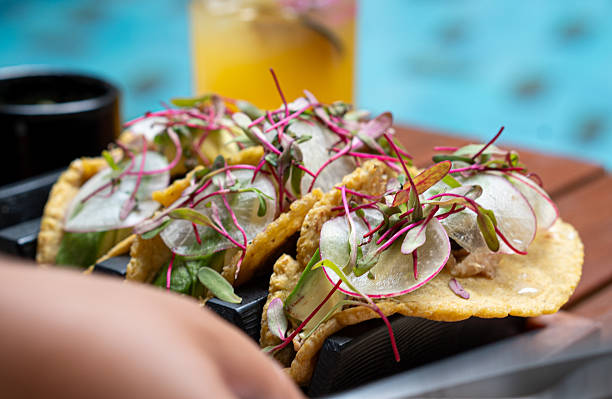 Chef serving gourmet tacos with microgreens and radish in yucatan, mexico