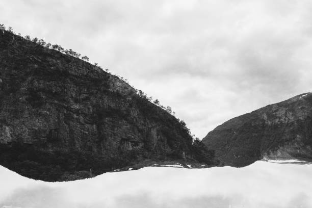 Abstract Norwegian mountain landscape with tree silhouettes and water.