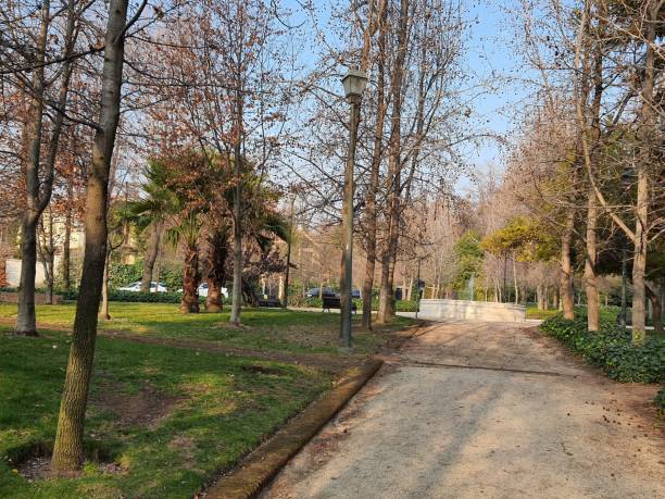 istock Beautiful Park Pathway in Autumn 2206393926