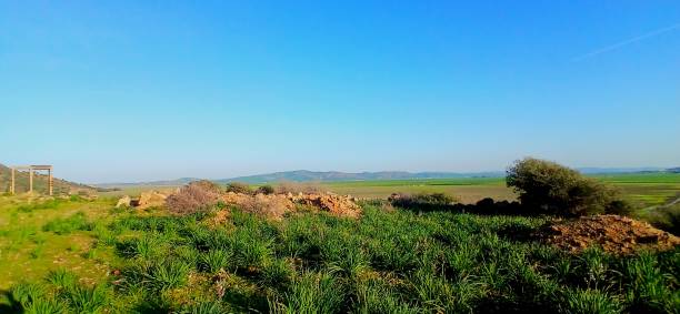 istock beautiful village in Bizerte, northern Tunisia 2206397315