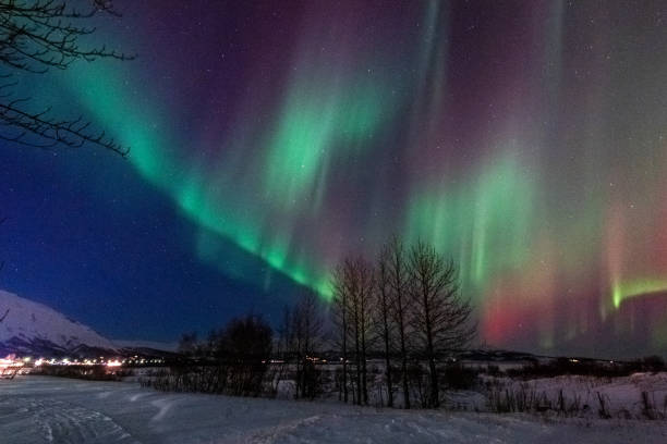 istock Aurora Borealis over Island 2206397523