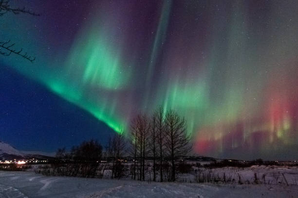 istock Aurora Borealis over Island 2206397525