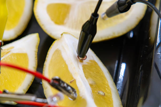 Science Lemon Lab 60+ Lemon Battery Experiment Stock Photos, Pictures & Royalty-Free ...