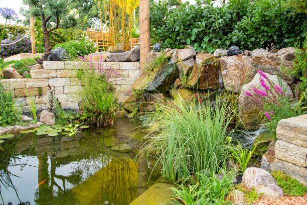 Beautiful garden pond designed with plants