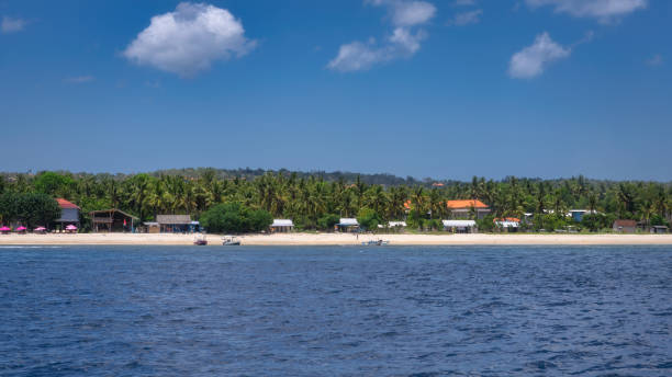 istock Experience the stunningly beautiful seaside view that features vibrant palm trees alongside charming beach houses 2206402066