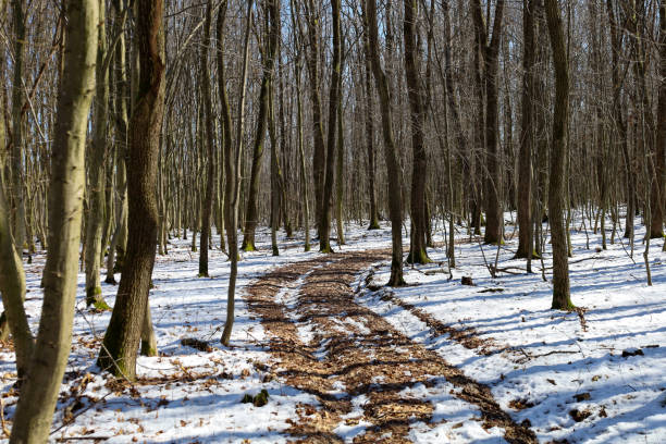 Burlington, Ontario - Footpath leading into Burlington Beach in the Wintertime