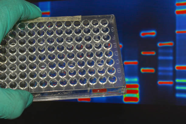 In the biological laboratory. Scientific research of molecular and cellular biology.