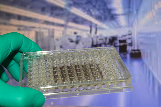 istock In the biological laboratory. 2206408605