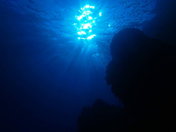istock Big blue, Red Sea near Marsa Alam, Egypt 2206410980