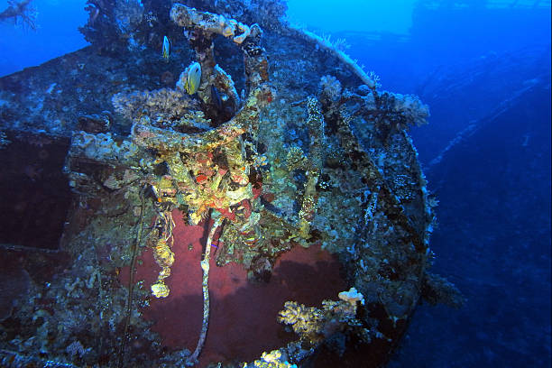 istock Salem Express shipwreck in the Red Sea 2206411301