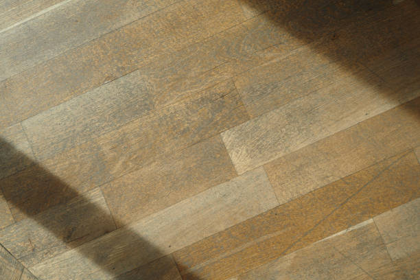 istock Natural WoodLook Flooring that features Warm and inviting Tones 2206411535