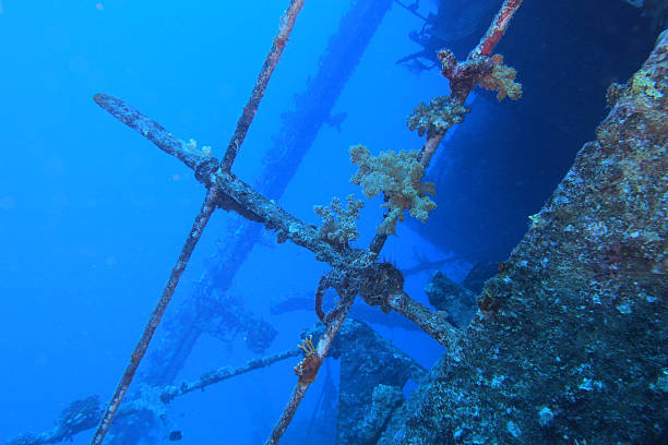 istock Thistlegorm shipwreck in the Red Sea 2206411609