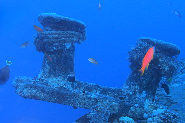 istock Thistlegorm shipwreck in the Red Sea 2206411633