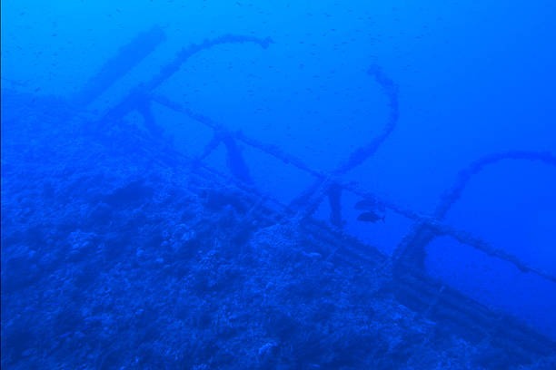istock Numidia shipwreck in the Red Sea 2206411677